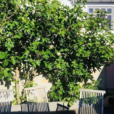 Maison d'hôtes Badepensionat Sandloppen