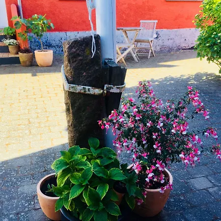 Maison d'hôtes Badepensionat Sandloppen Allinge-Sandvig