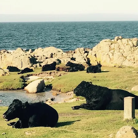 Badepensionat Sandloppen Konukevi