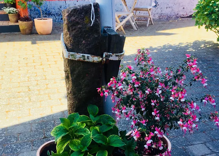 Gasthof Badepensionat Sandloppen Allinge-Sandvig