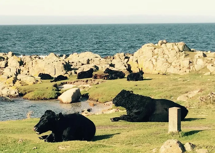 Badepensionat Sandloppen Gasthof